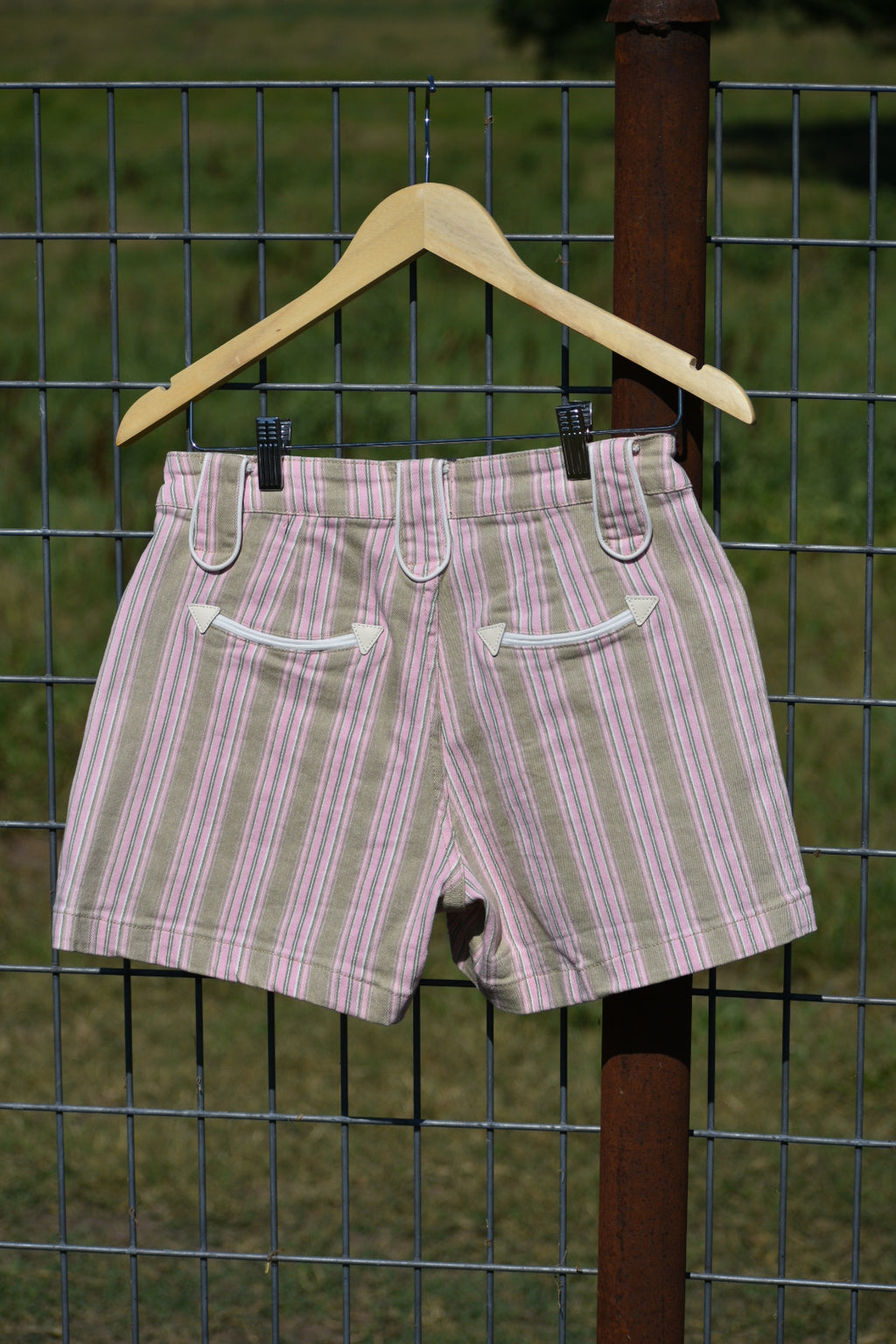 Dusty Prairie Shorts