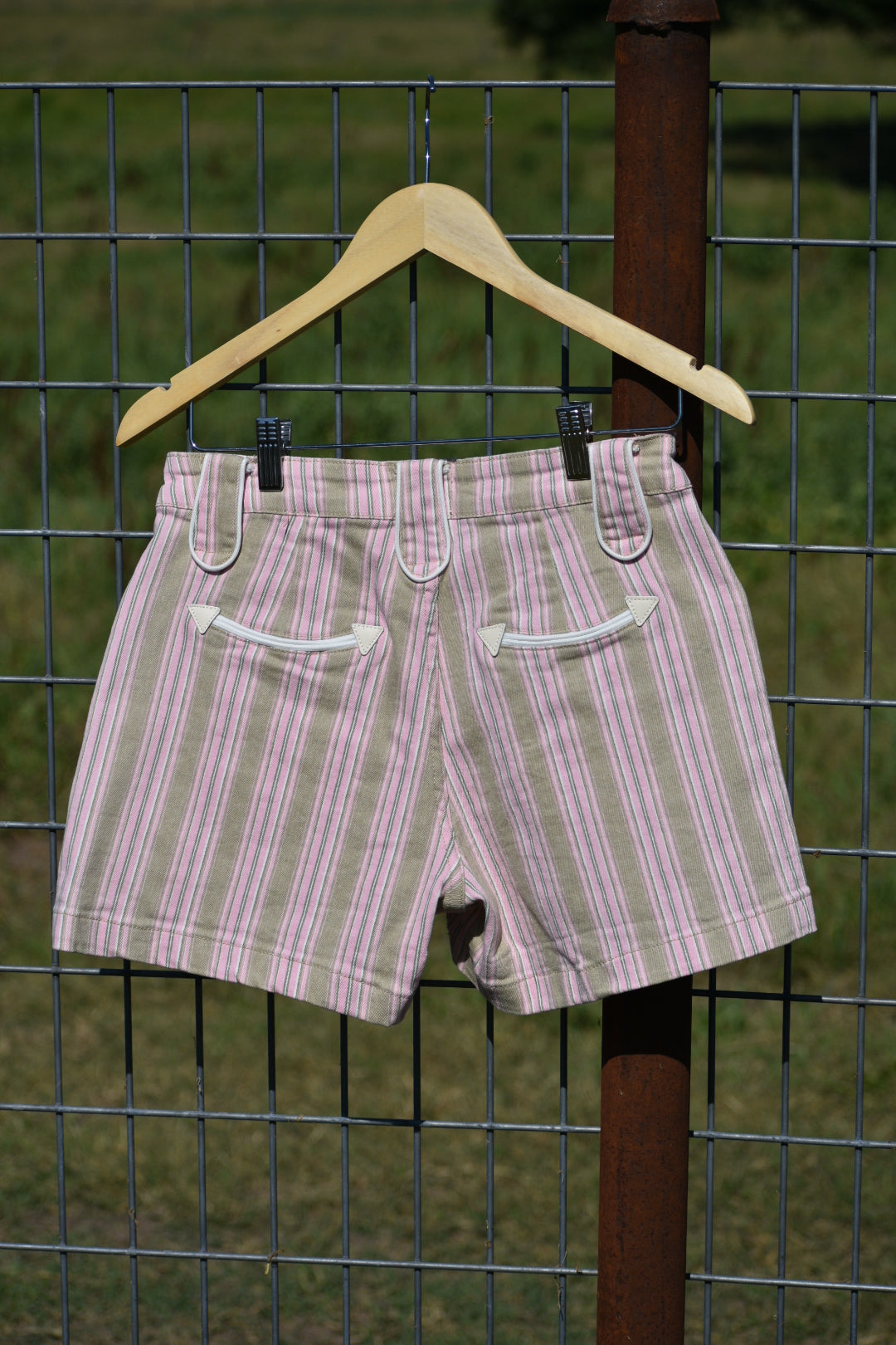 Dusty Prairie Shorts