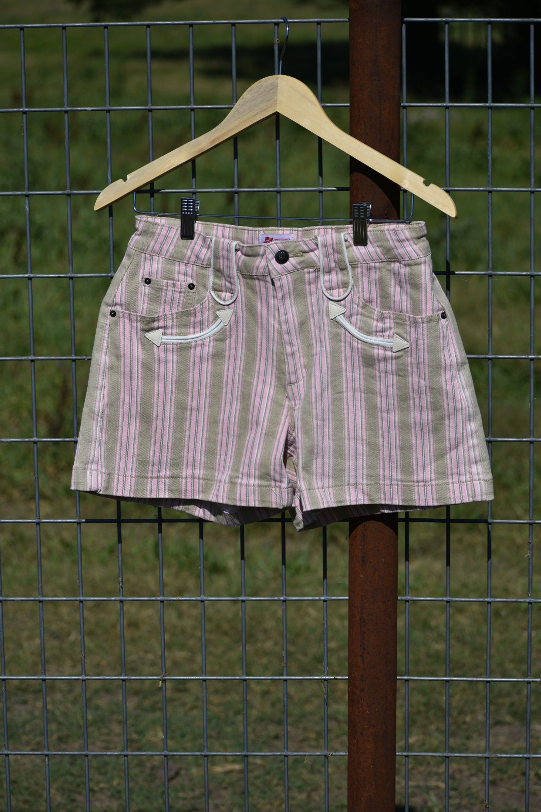 Dusty Prairie Shorts