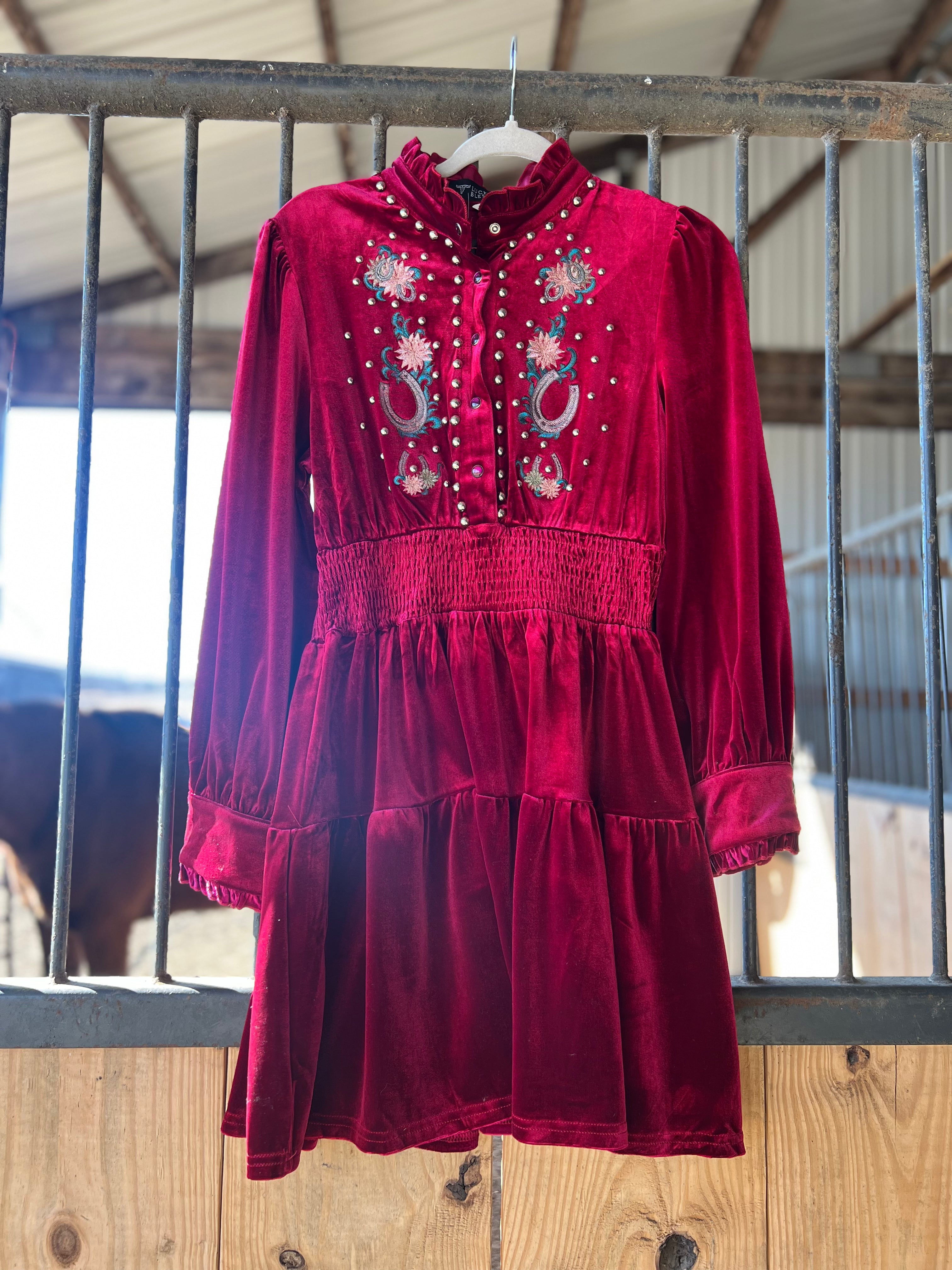 Velvet and Lucky Dress